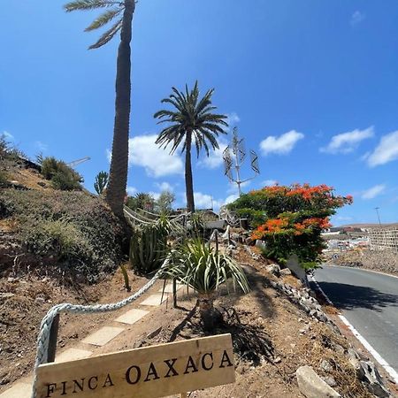 Finca Oaxaca - Casa Iguana アガエテ エクステリア 写真